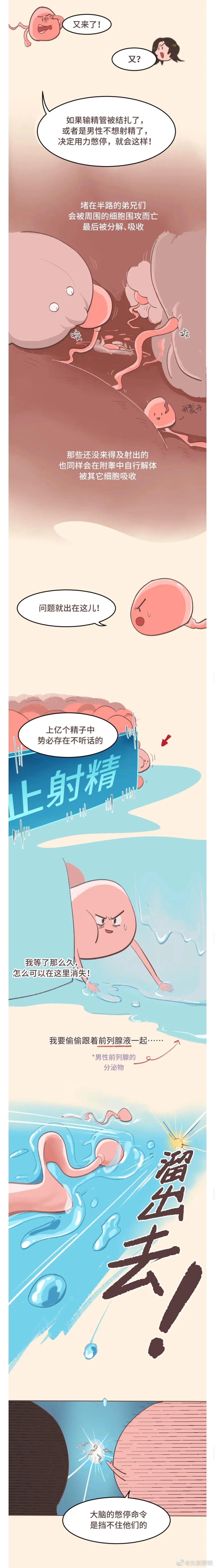 不*射内**会怀孕吗？夫妻们要留意了