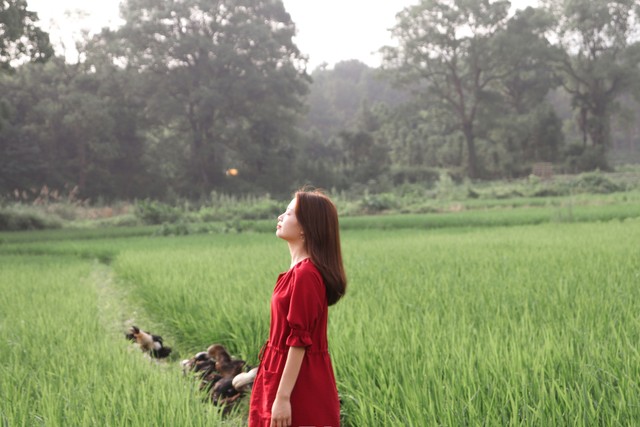 能赚会花的底层逻辑