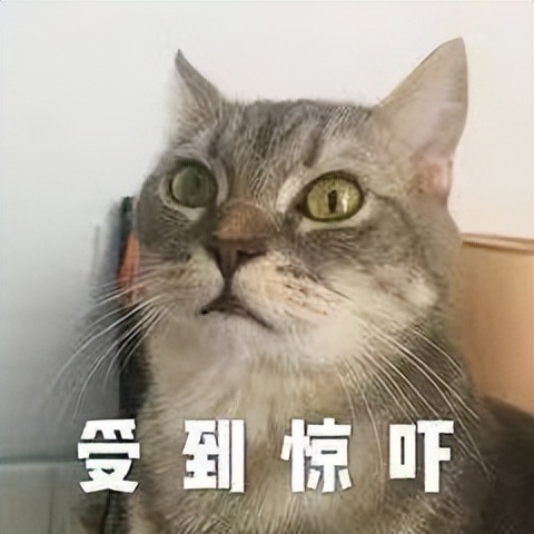 难言之隐大概内容,难言之隐一般指什么