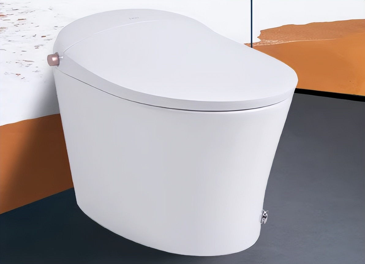 马桶花洒哪个牌子性价比高,马桶哪个牌子性价较高