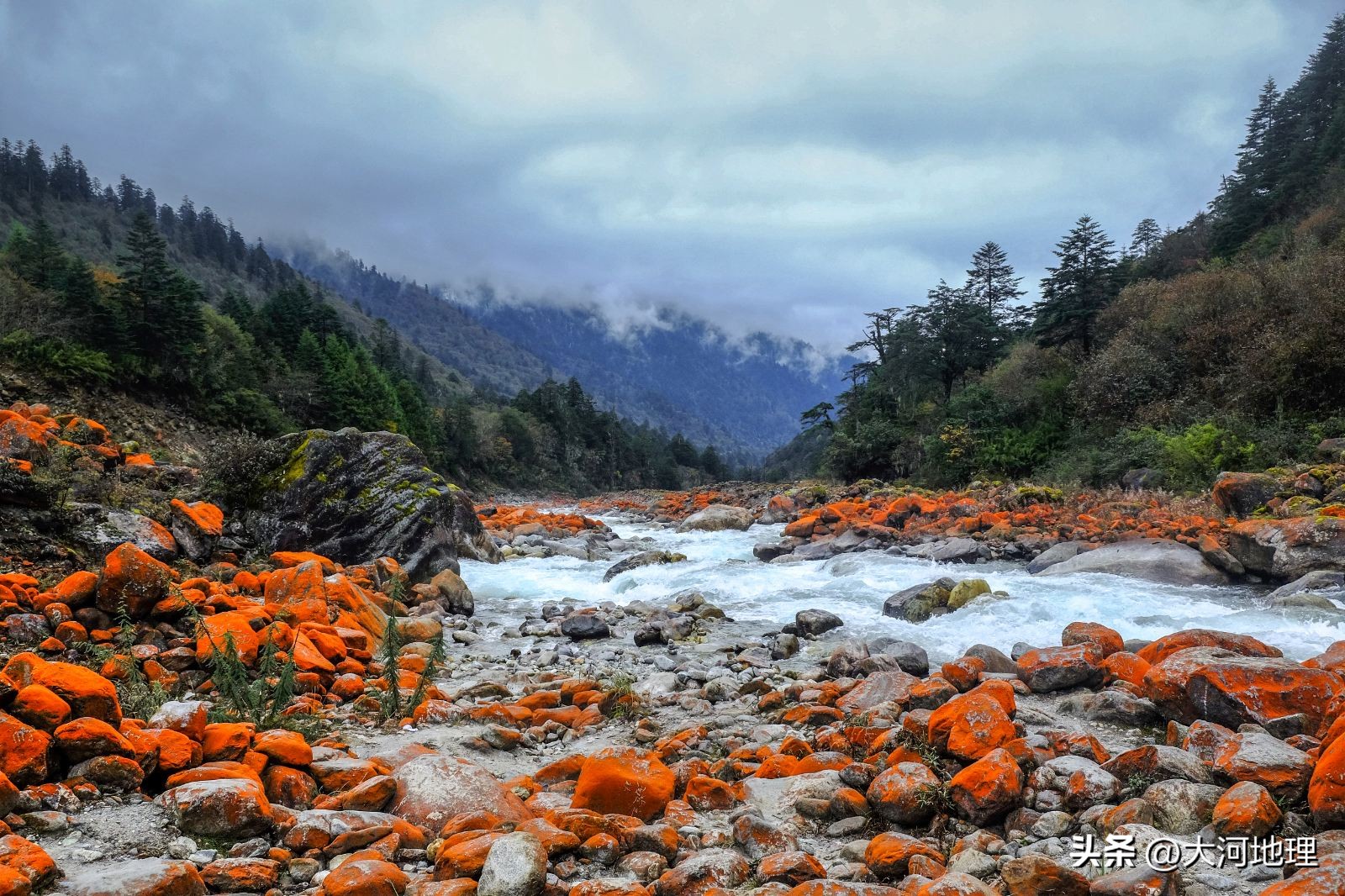 旅游攻略国内十大必去景点南方,中国南方著名景点