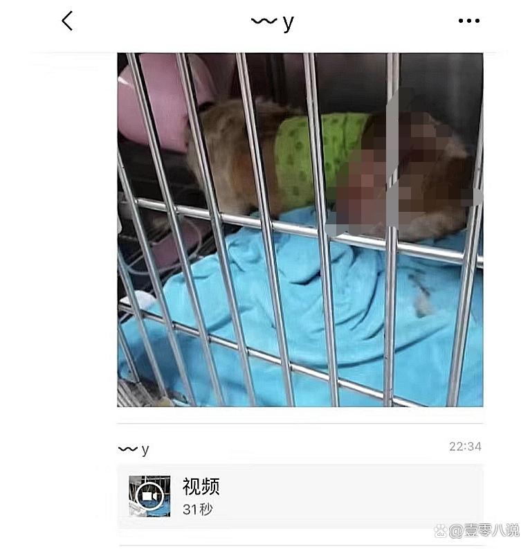 曝光成都贝诺宠物医院某院长偷藏客户财产，并多次导致宠物死亡