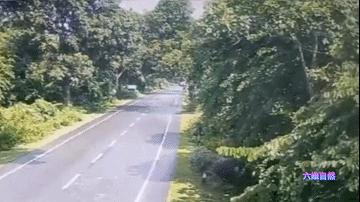 犀牛冲撞车事件,犀牛撞大货车