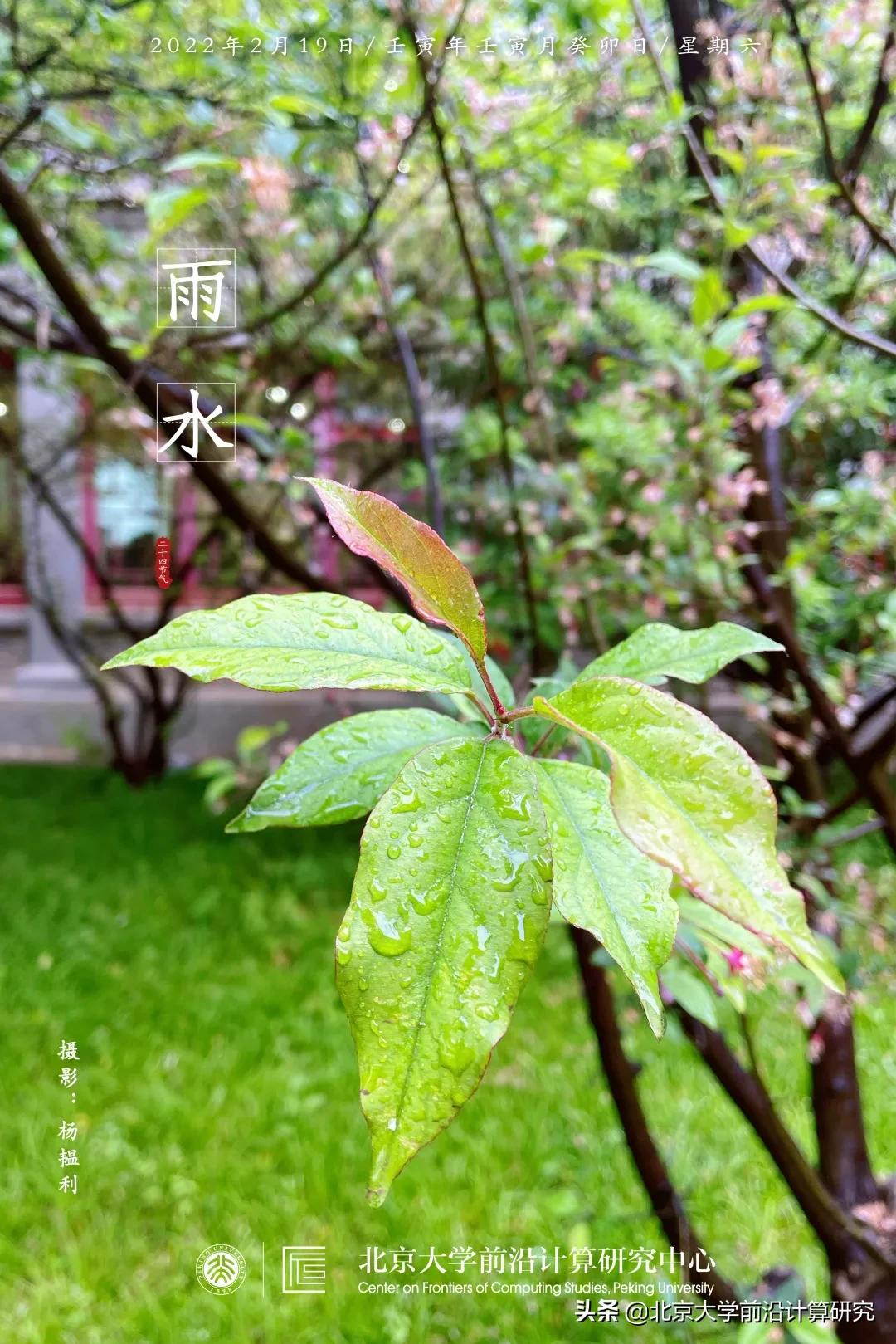 雨水|计算机科学家如何理解“学习”