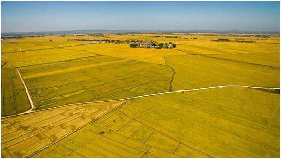 鹤岗怎么回事,鹤岗财政不够发工资怎么办