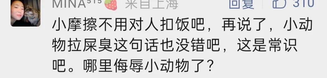 猫拉屎臭被扣饭什么梗,说猫咪拉屎臭猫咪会生气吗