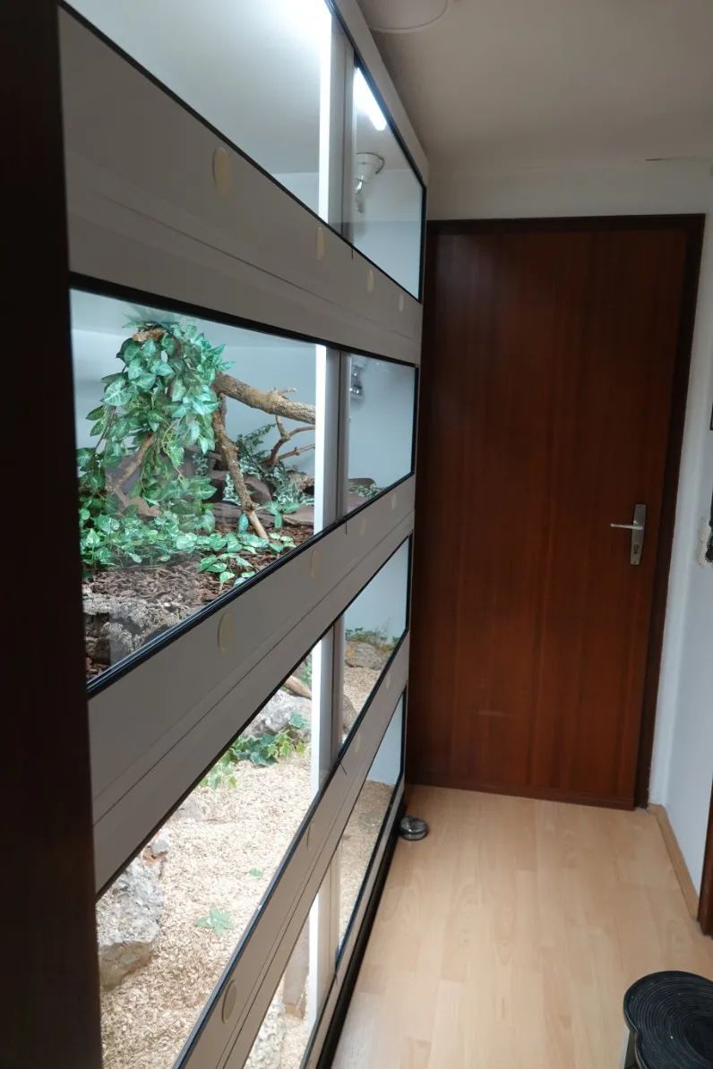 「原来欧洲有这么多种蛇？！」偷师卡塞尔的豢龙大师·下