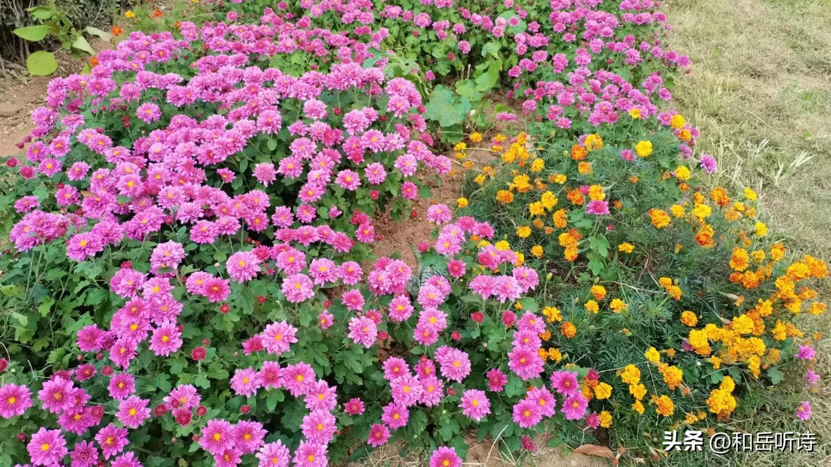 苏东坡的春夏秋冬诗句,春夏秋冬苏东坡