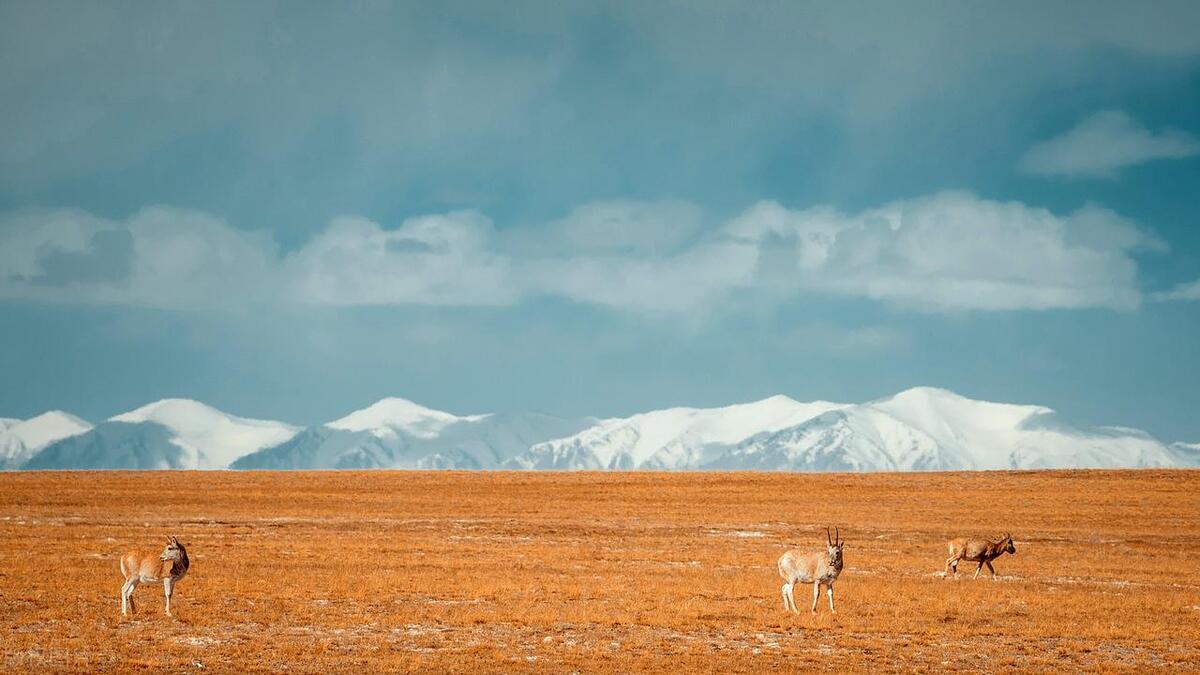 青海海西自治州简介,青海省海西蒙古族藏族自治州