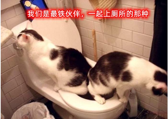 小学生社死现场,小学生社死