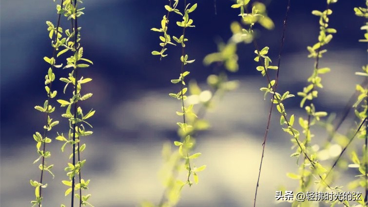 中国史上最美36首诗词,中国最美诗词十首