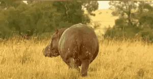 伴娘蹲角落里玩手机,伴娘躲在角落玩手机很漂亮