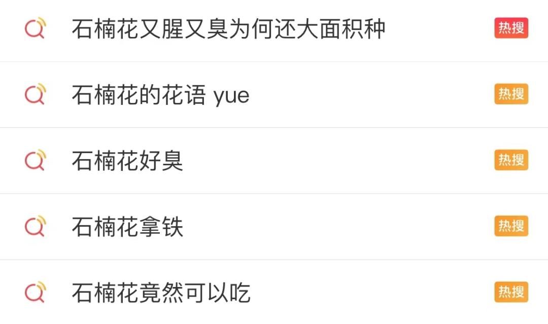 石楠花很香啊为什么有人觉得臭,石楠花那么臭为什么要种那么多