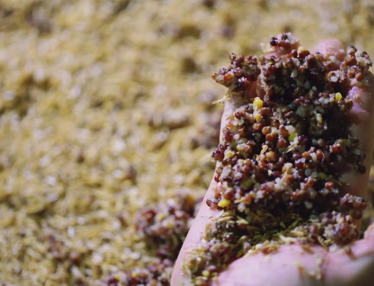 酒美中国·精灵的馈赠