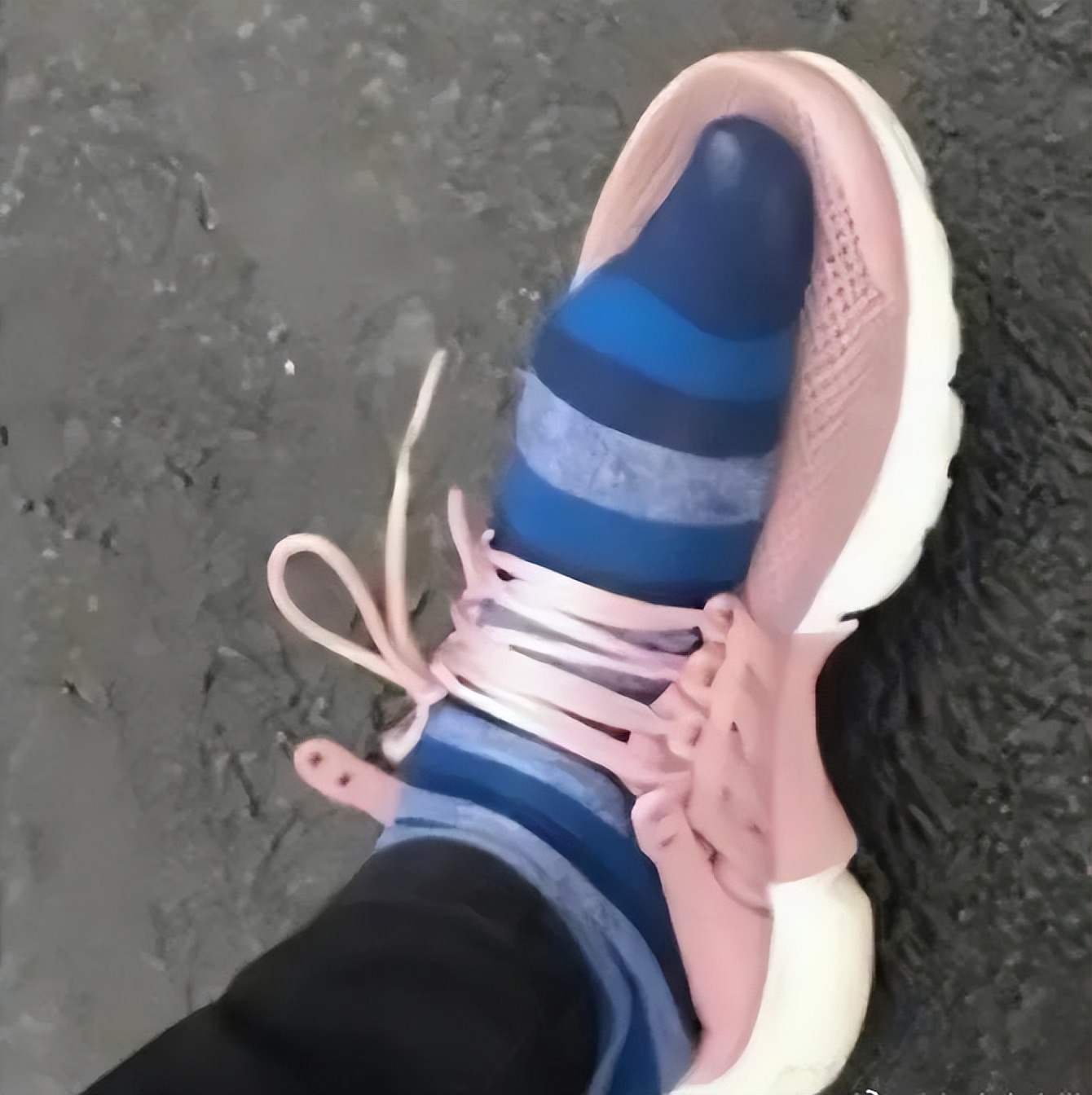 欲栽桂花同载酒终不似少年游图片,那些让你笑出眼泪的搞笑图片