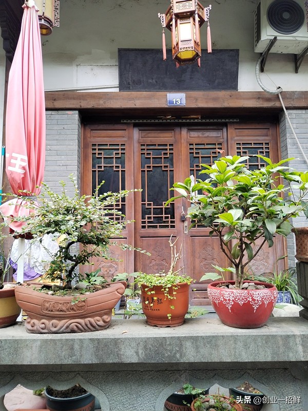 新奇特专利产品：从小到大，能自然上升的翻花盆