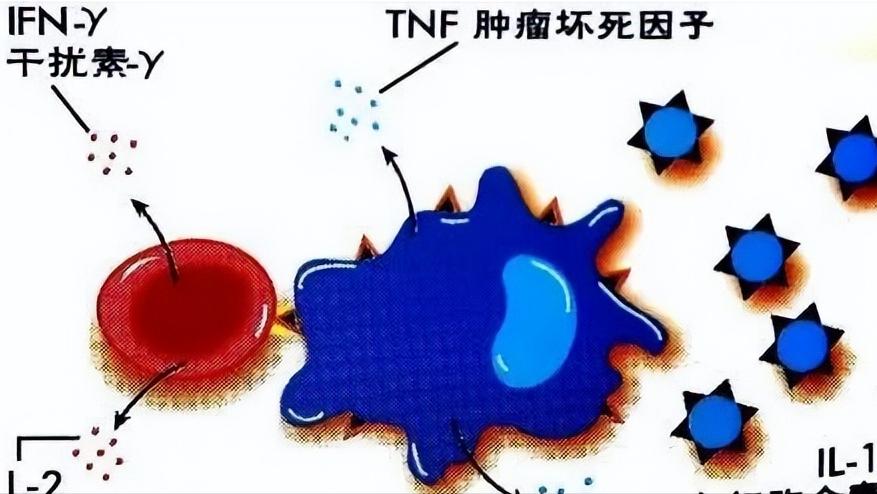 50岁女性下肢无力是什么原因,更年期女性下肢无力