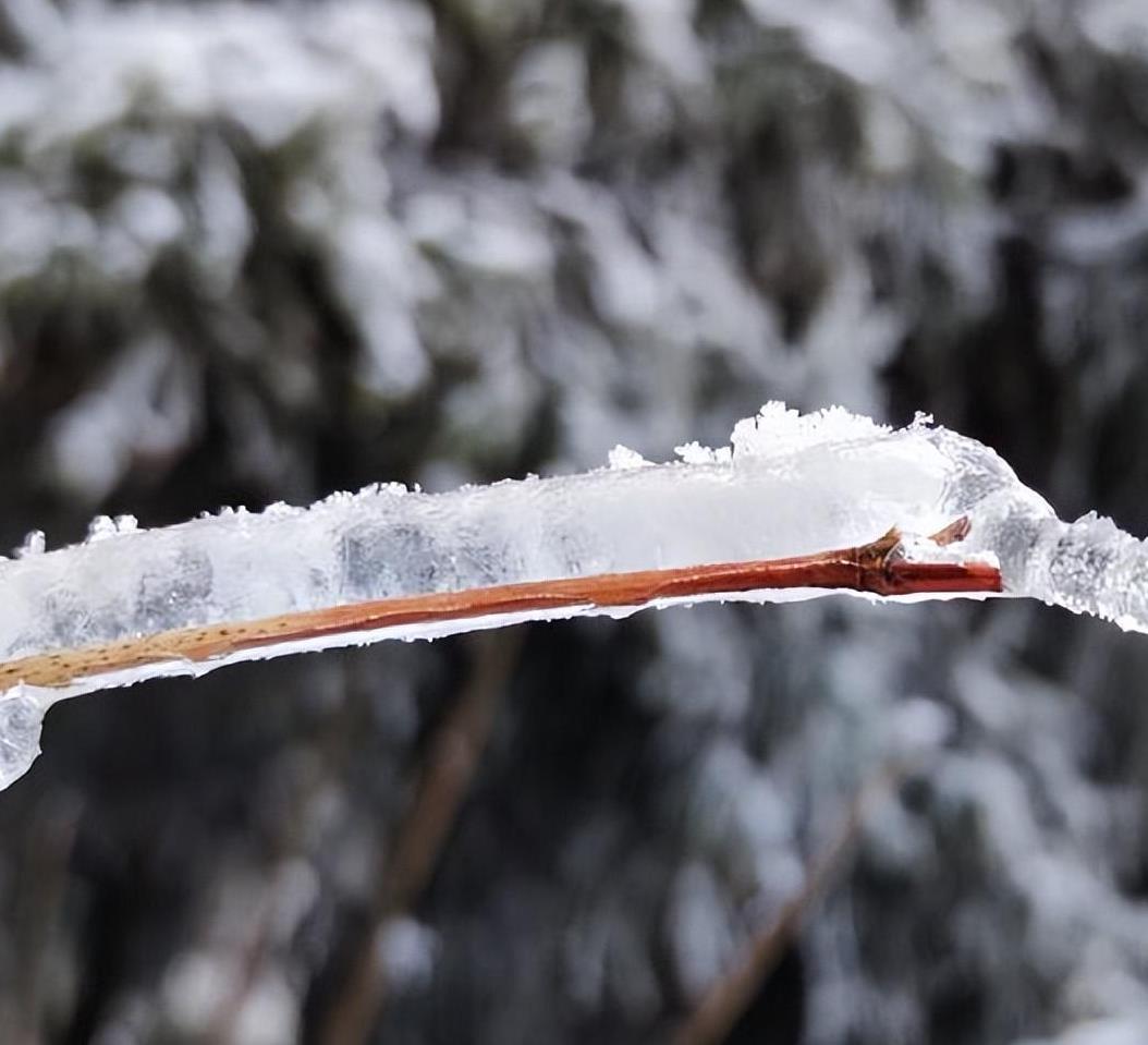 西南官话华苑话(10)昂、嘎叉、老马……形容词