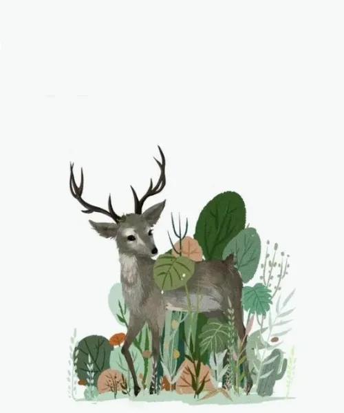 大鹏教育网上学习是真的吗,大鹏教育ps学习免学费靠谱吗