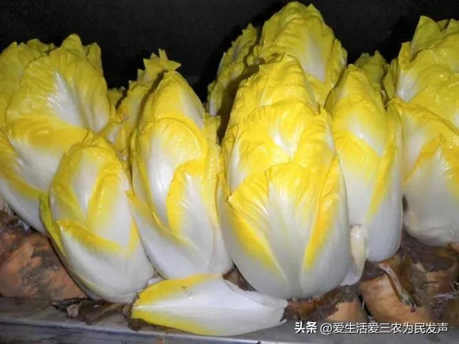 适合新手小白快速赚钱的行业,当下冷门最容易赚钱行业