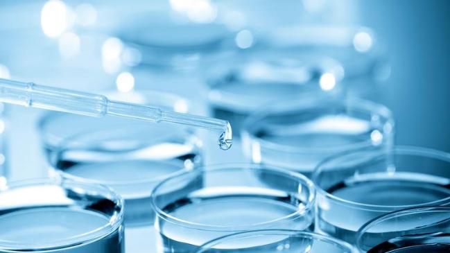 师范类的生物科学是天坑专业吗,生物科学专业是天坑吗