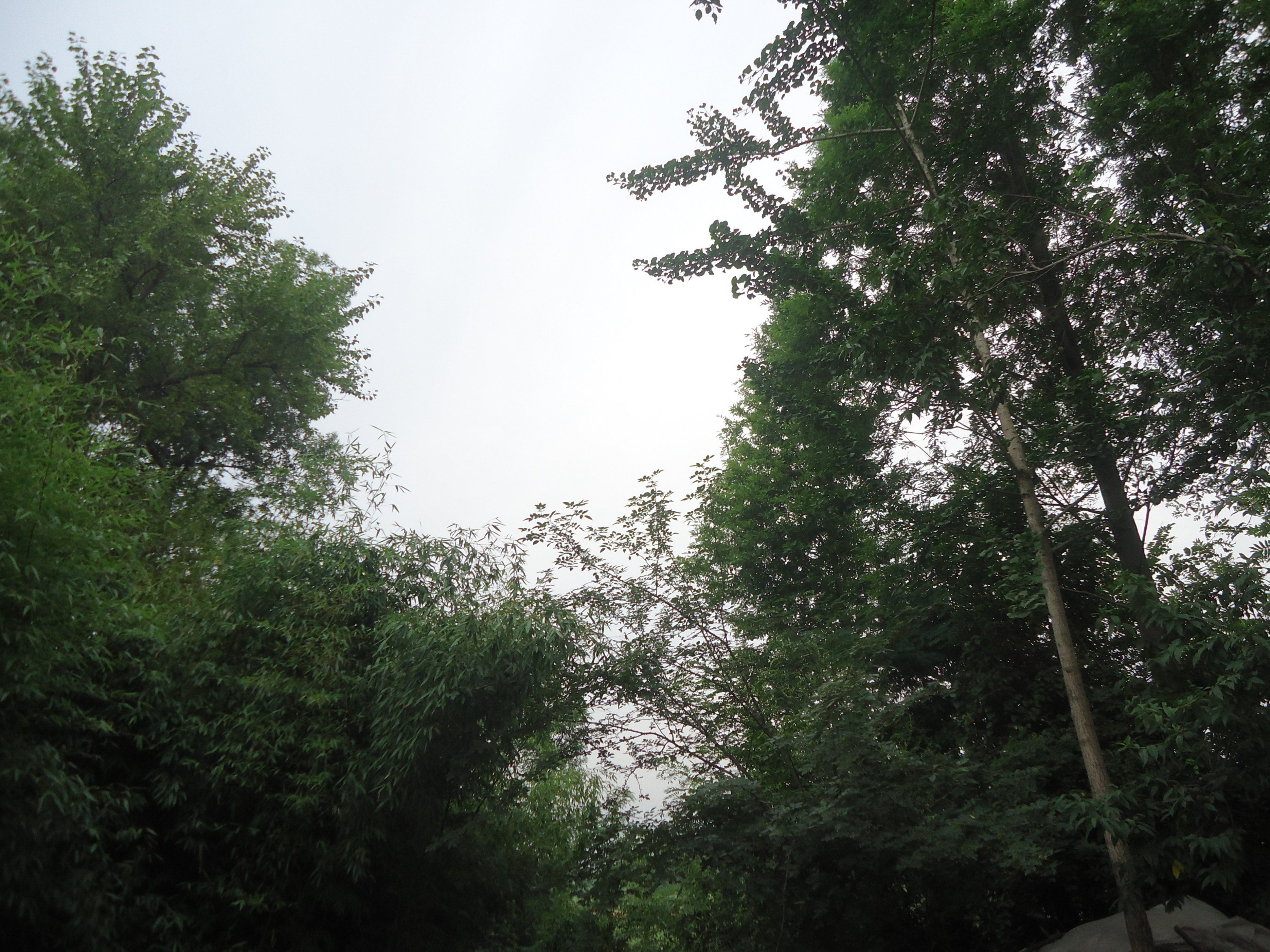 小村老人（11）：差点丢失幼子