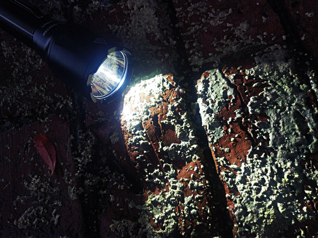 fenixtk22和c7比较,fenix菲尼克斯tk22ue