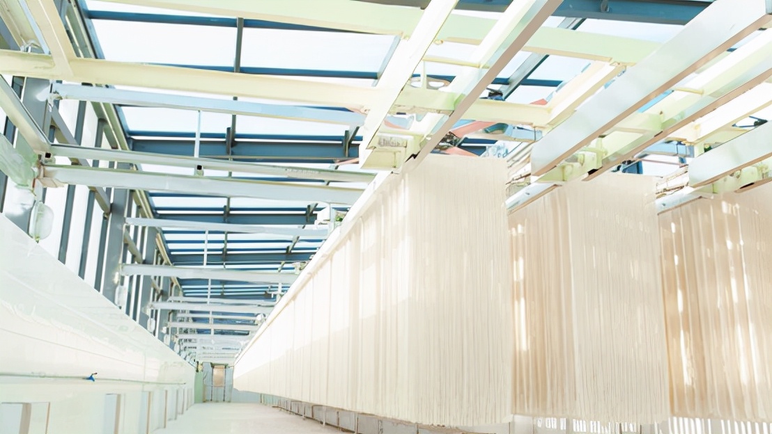 白象方便面发展现状及原因分析,白象方便面曾经是如何起家的