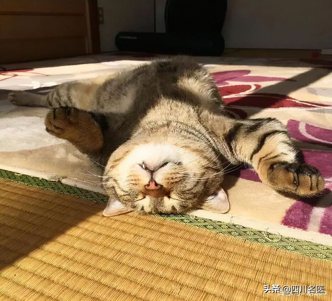 深绿色蔬菜补钙还是牛奶补钙,8种蔬菜的钙含量比牛奶还高