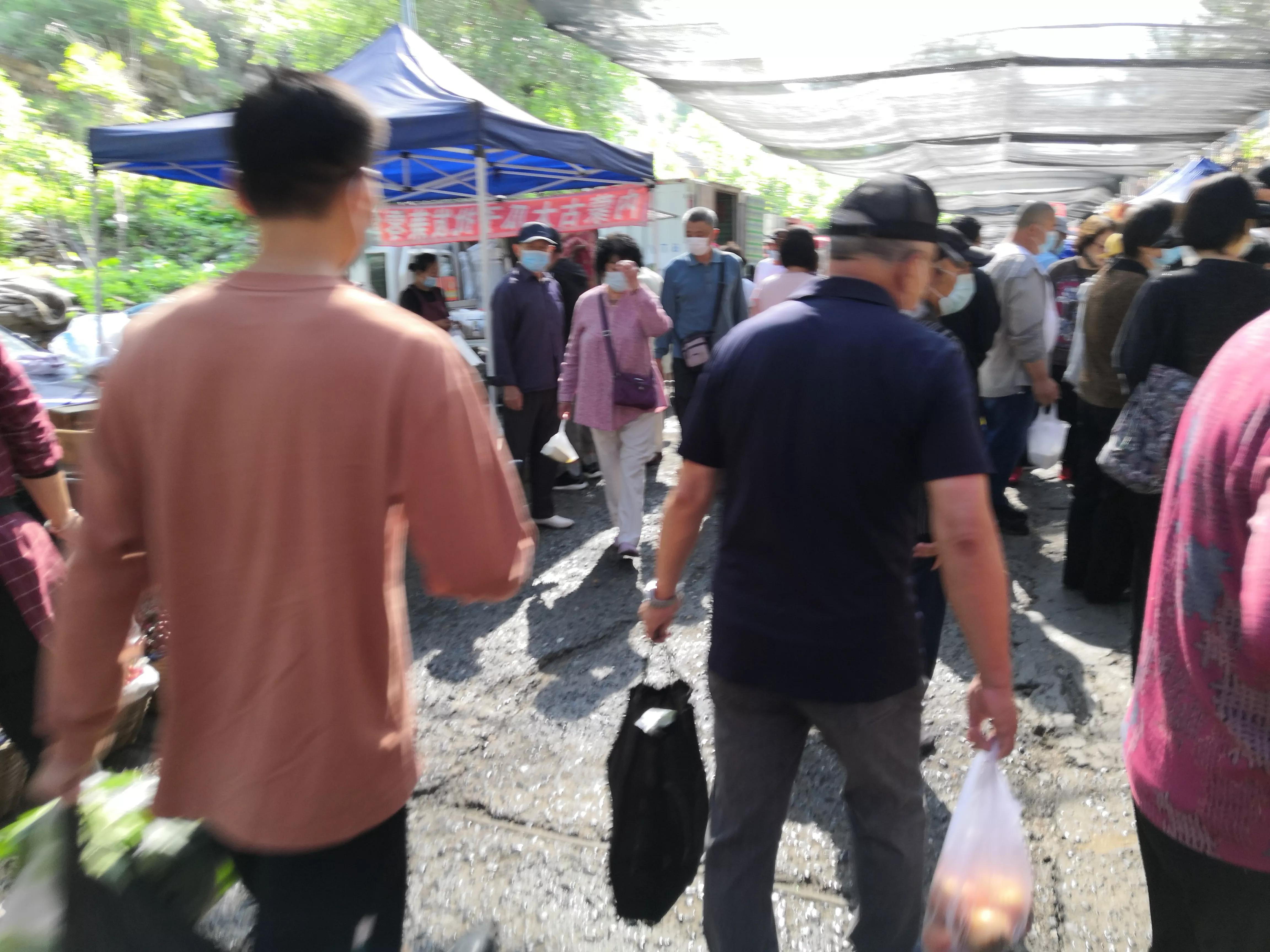 夜来风雨声花落知多少,夜来风雨声花落知多少国画