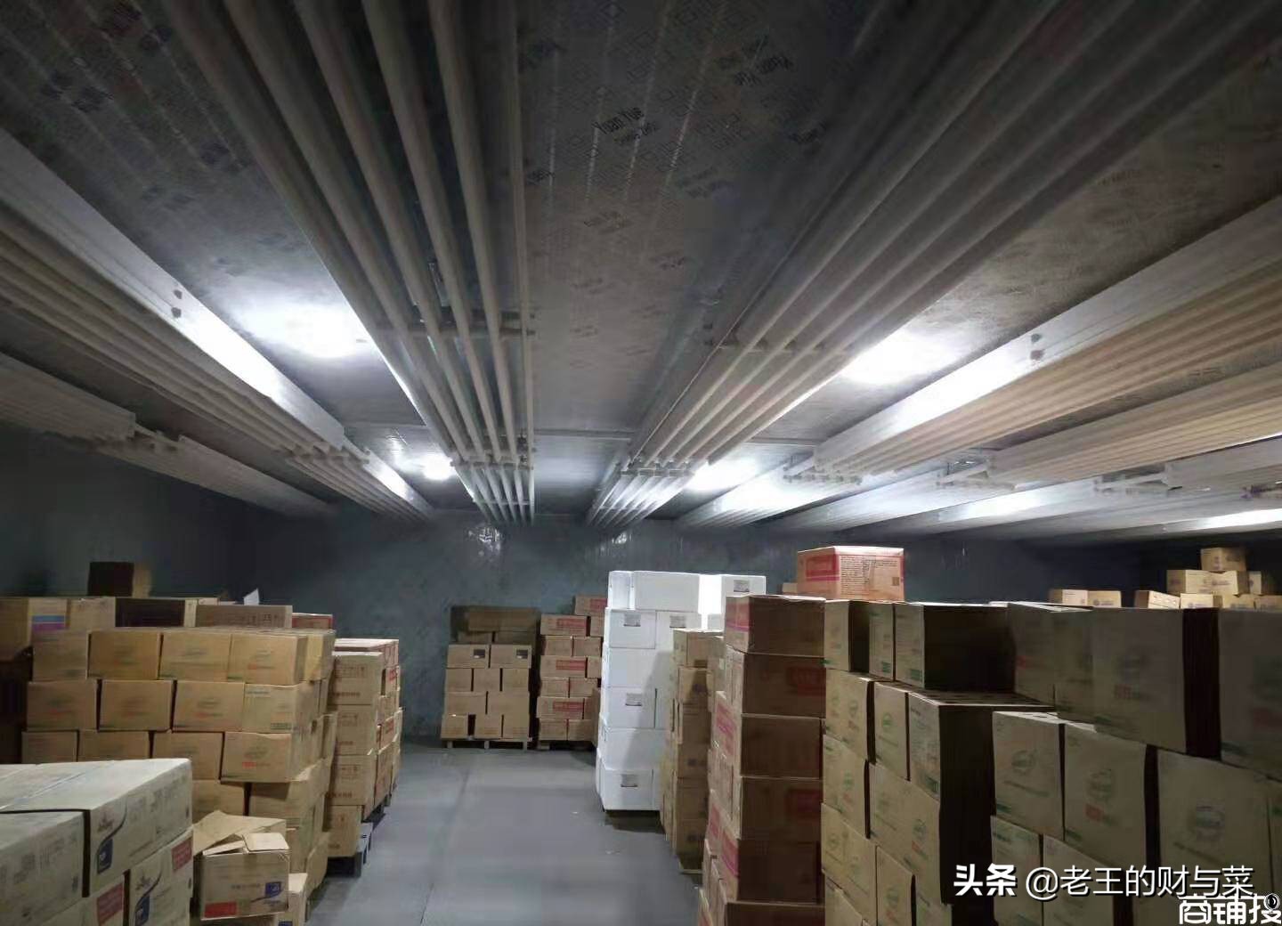 广州哪里有蔬菜产地综合批发市场,广州土豆批发产地