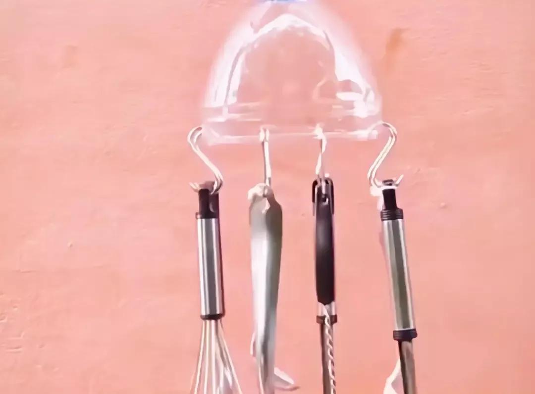 生活小妙招冰箱异味放什么去味,分享一个冰箱去异味小妙招