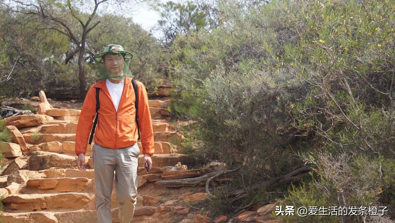 一路向北全程1980公里,西澳自驾游最佳路线图