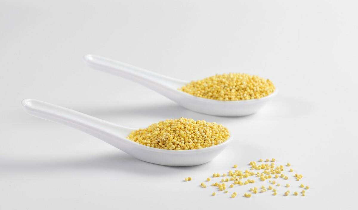 黄米和小米口感有啥区别,小米大黄米黍子米有什么不同