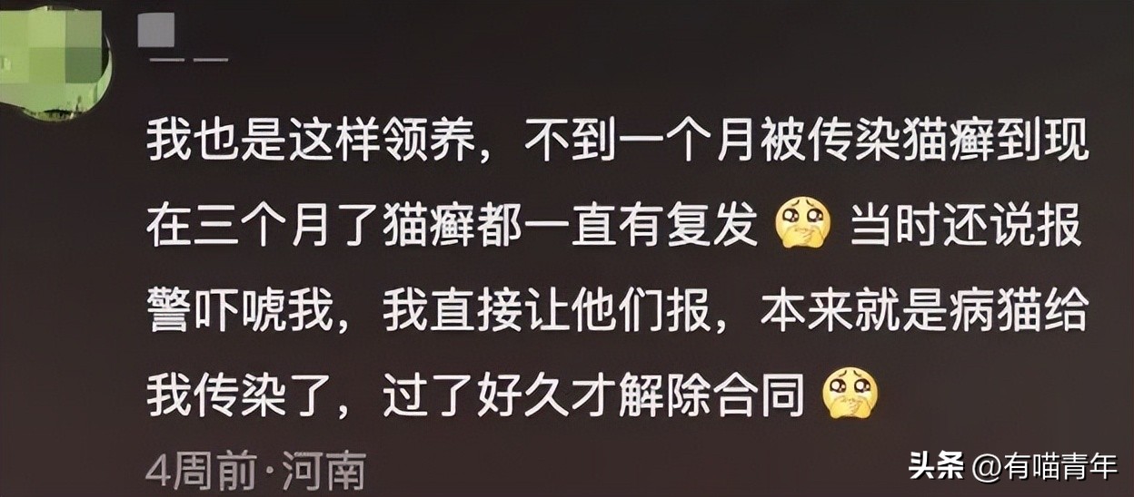 免费领养一只品种猫，猫死后强行要我买猫粮，赔3000