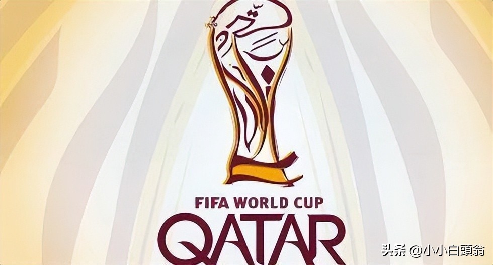 亚洲世界杯预选赛比分表,上届世界杯四支亚洲球队各胜一场