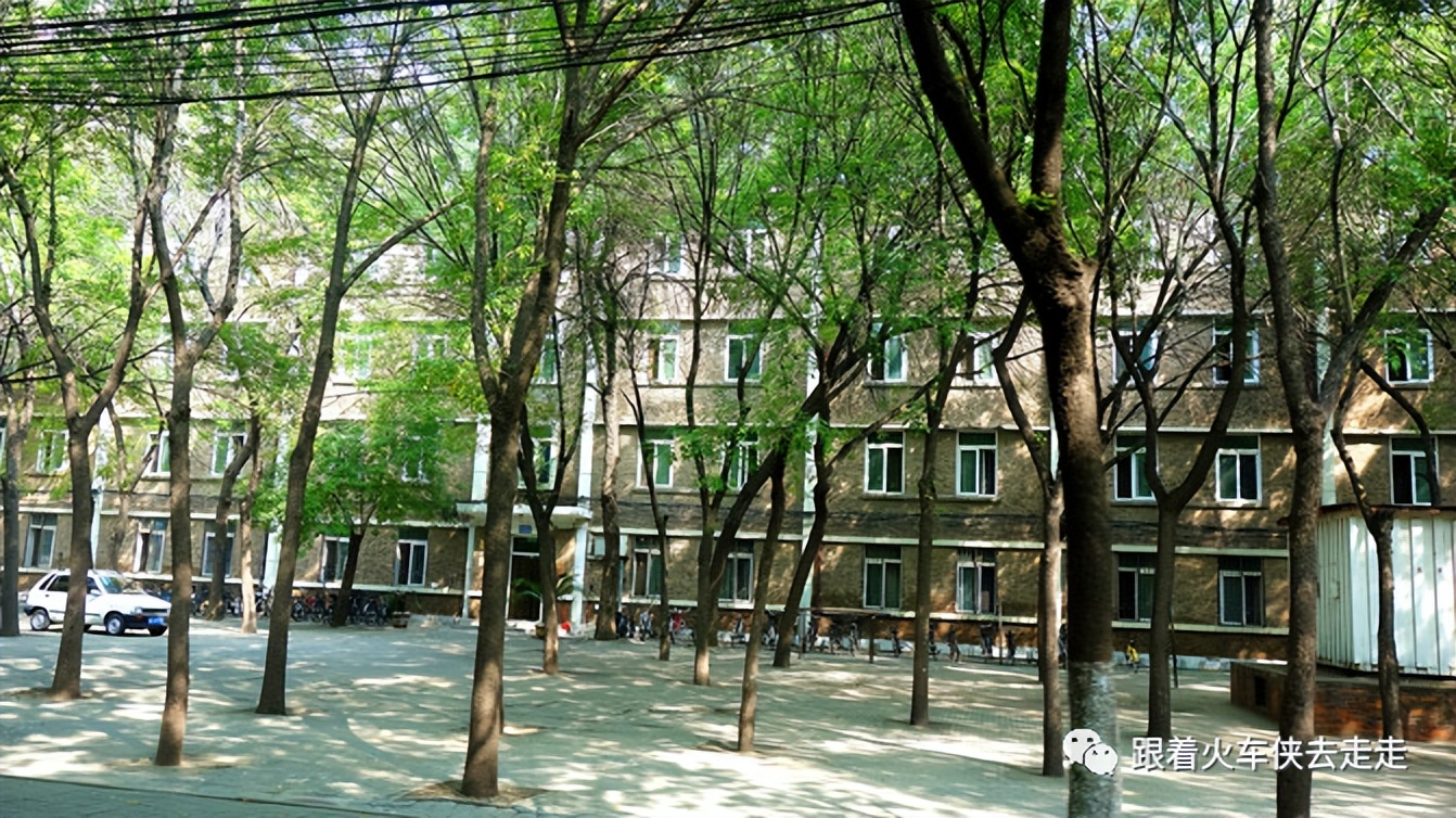 老天津读历史，新天津新全运（四）——天津大学（下）