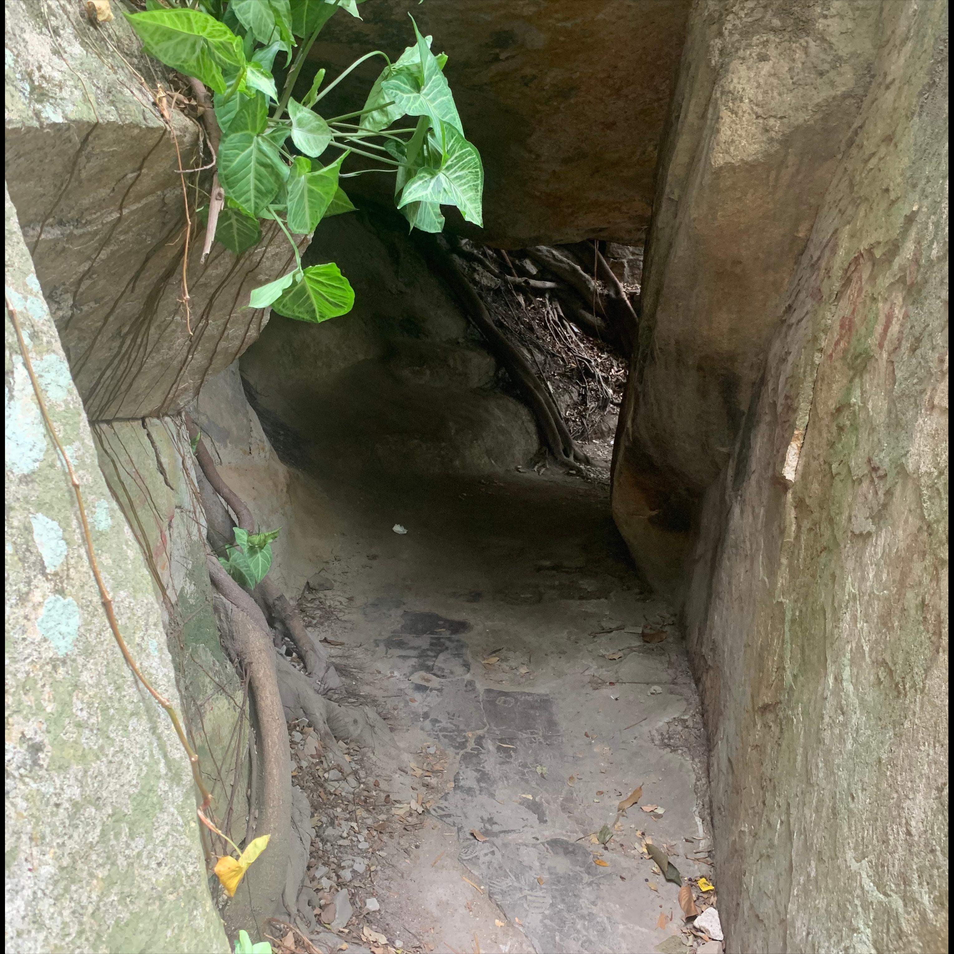 九阴真经神机谷,九阴真经水月洞天