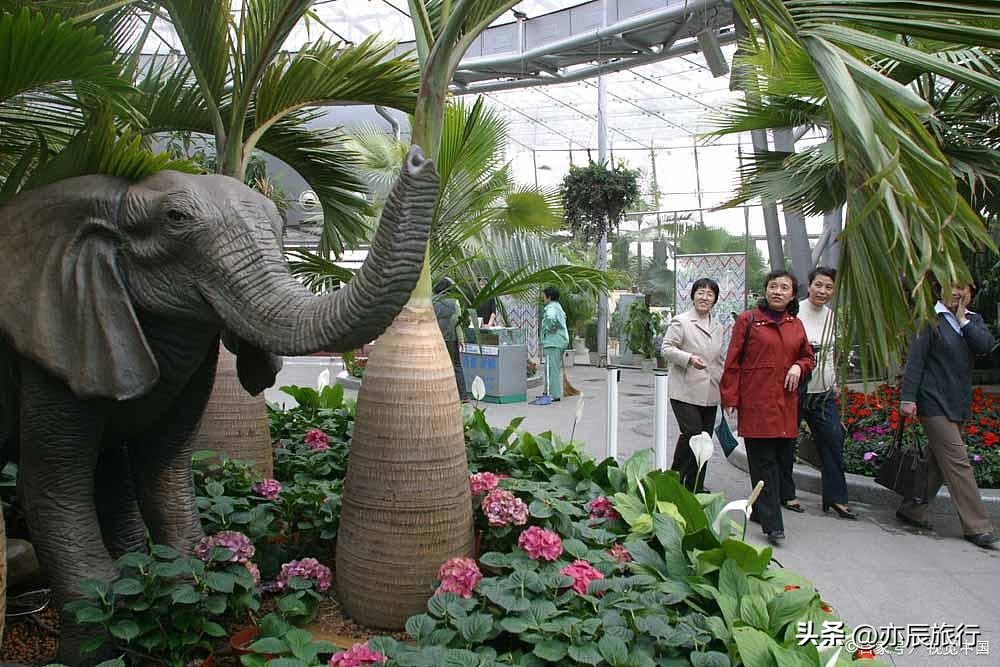 天津适合老年人旅游的十大景点,天津滨海旅游景点大全排名榜