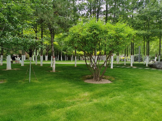 男人爱慕你怎么回复,男人倾慕女人