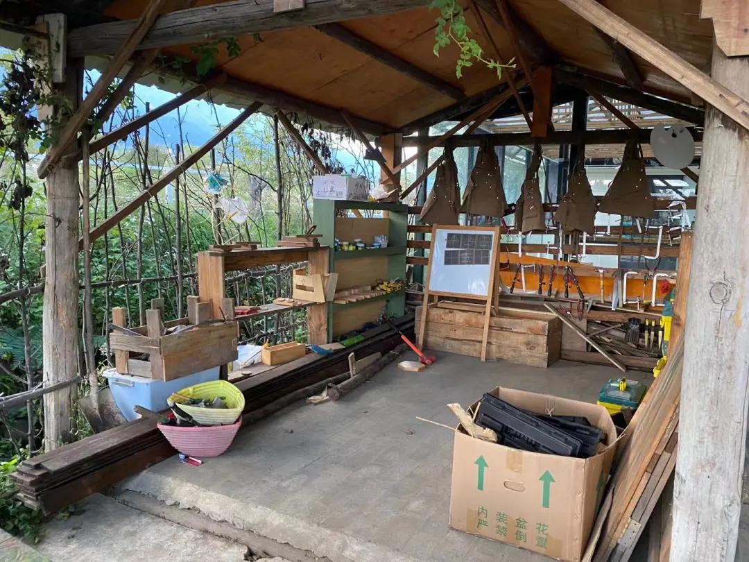 大理幼儿园环境,大理县城幼儿园