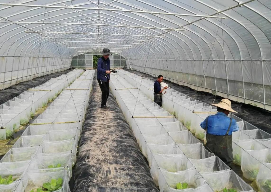 黄鳝的生活习性和繁殖期,黄鳝的生长习性