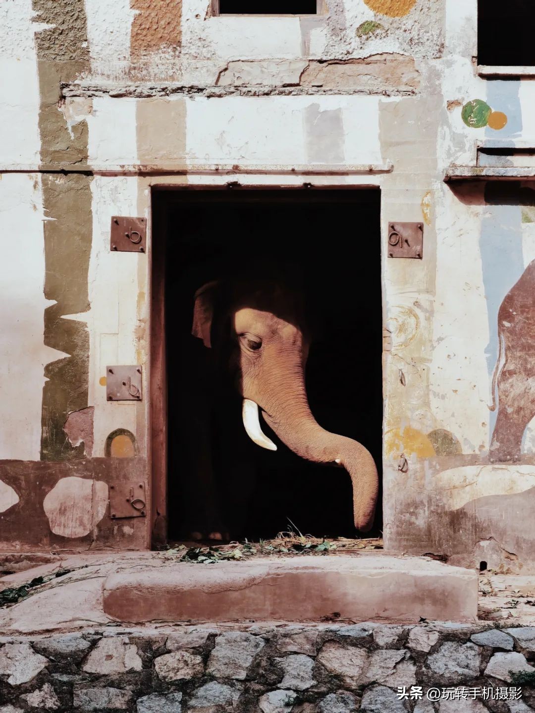 广州拍照打卡景点路线,广州出游打卡拍照姿势