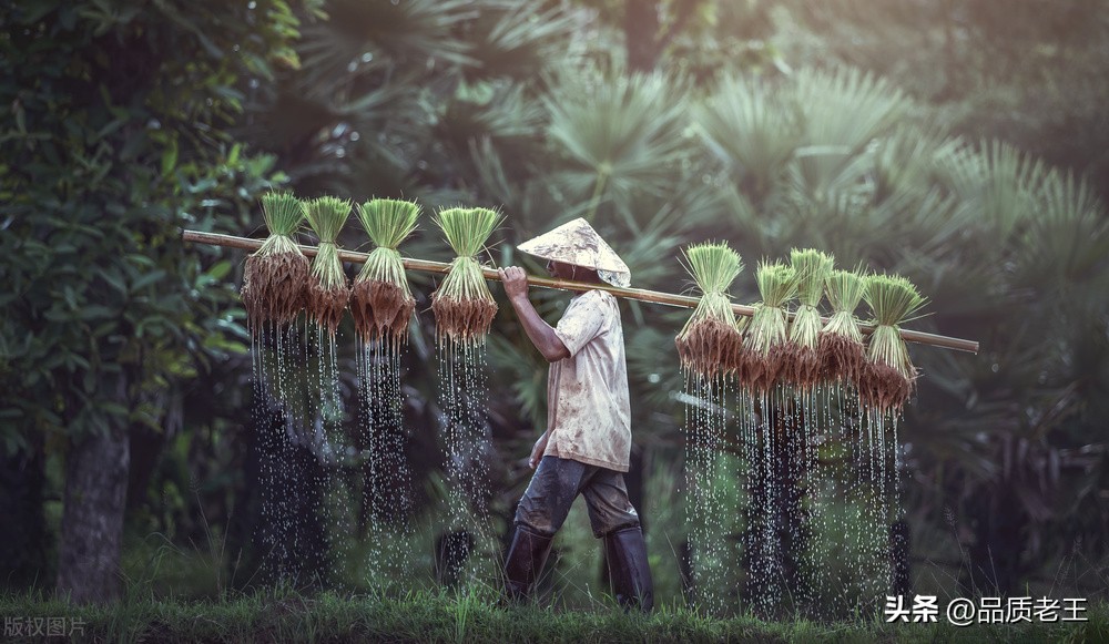 娶缅甸媳妇儿要花多少钱？