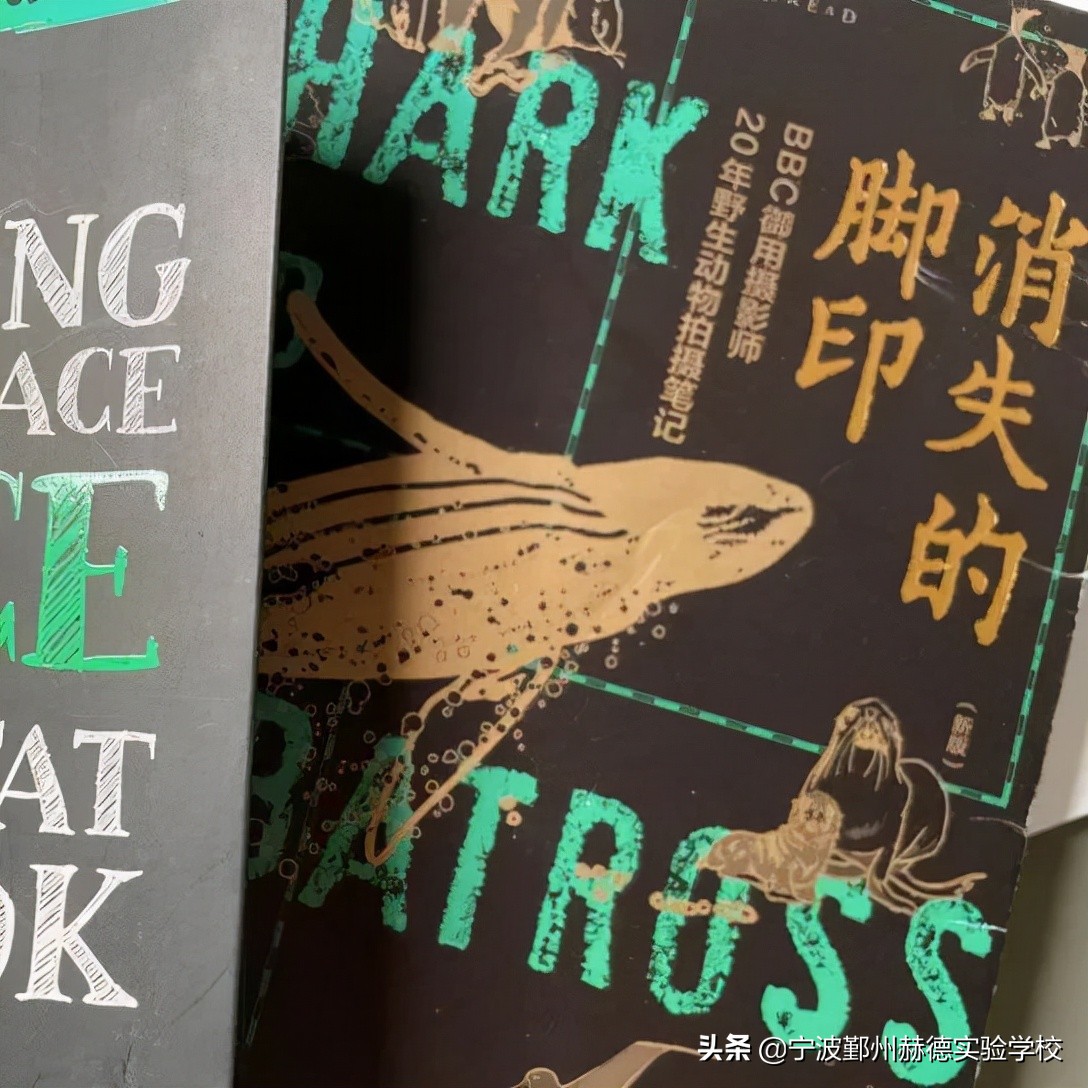 七年级学生学习感悟,七年级学生学习生活感悟