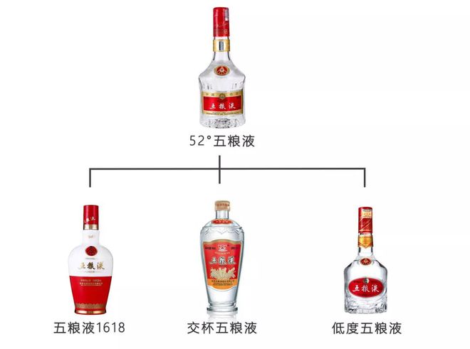 五粮液知识普及大全,五粮液相关知识