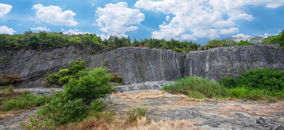 阳山问碑全文,阳山问碑是什么意思