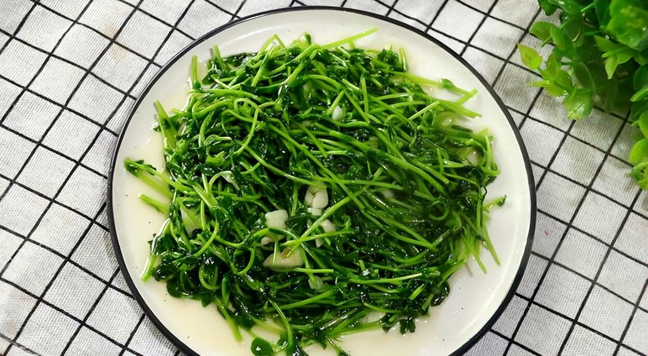 春季4种野菜常吃养肝护肝,春季养肝护肝排毒蔬菜