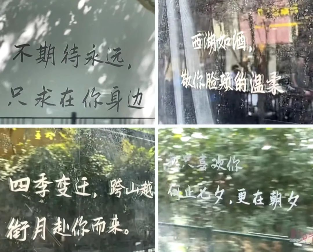 七夕和情人节什么区别,七夕是不是中国的传统情人节