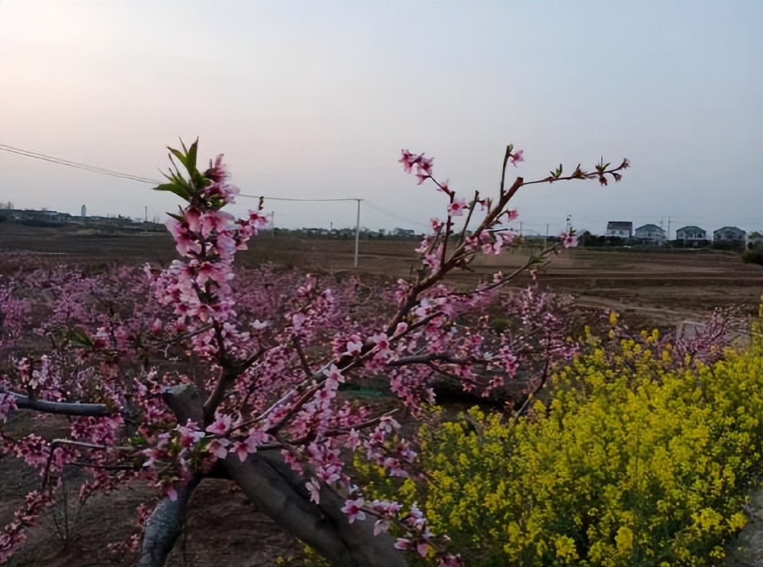 季国强,季国强的唯美诗句